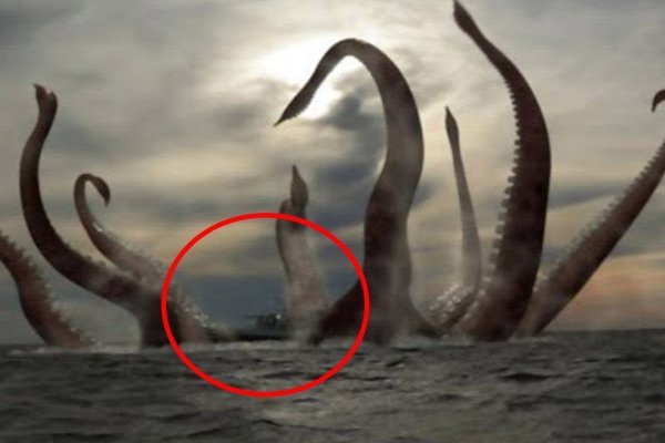 Kraken пользователь не найден при входе