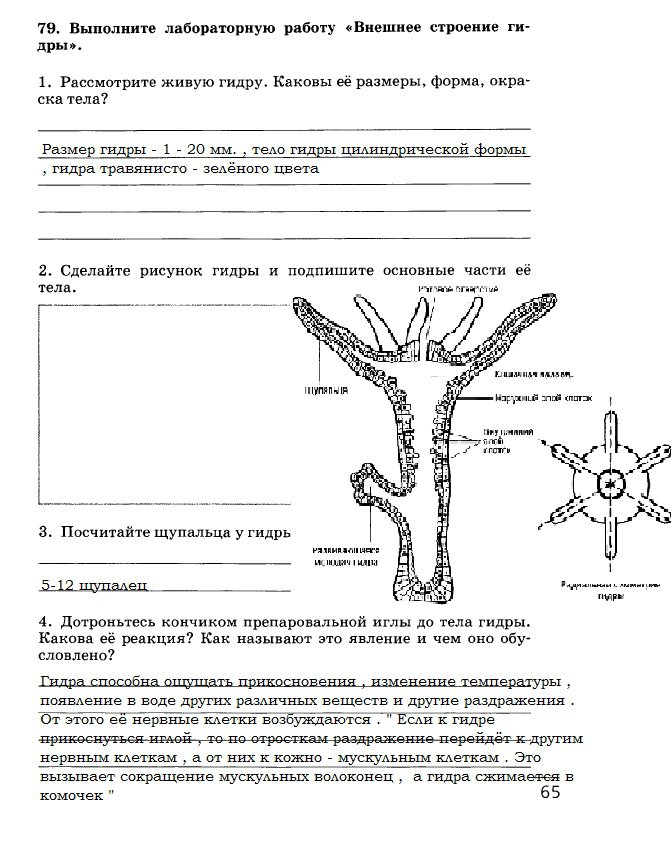 Кракен точка ат