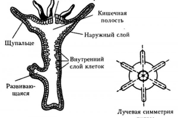 Кракен зарегистрироваться