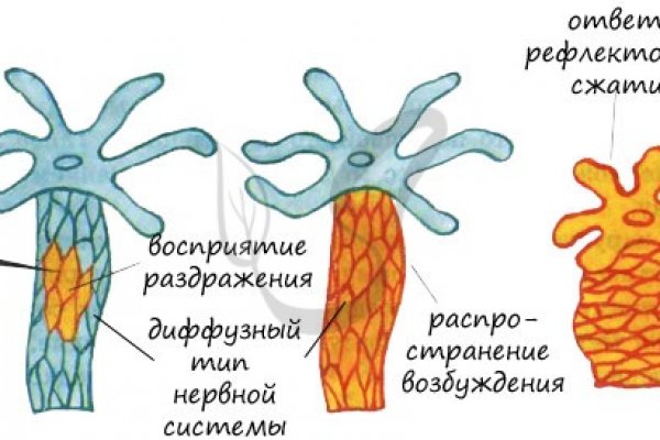 Кракен наркошоп сайт