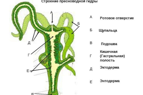 Как написать администрации даркнета кракен